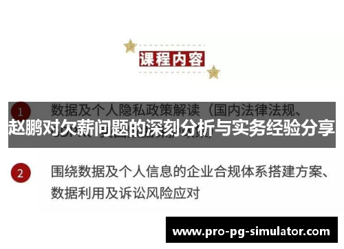 赵鹏对欠薪问题的深刻分析与实务经验分享