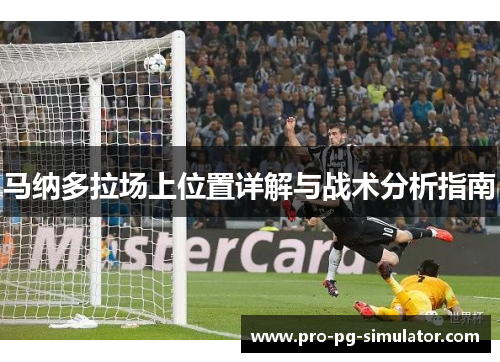马纳多拉场上位置详解与战术分析指南